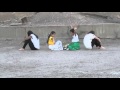 Vayan Al Norte, (Dance Group Abya Yala) song by Eliza Gilkyson