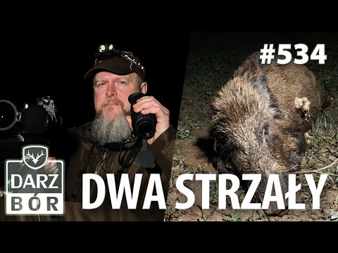 Darz Bór odc. 534 Błoto, lisy, dziki i …dwa strzały…