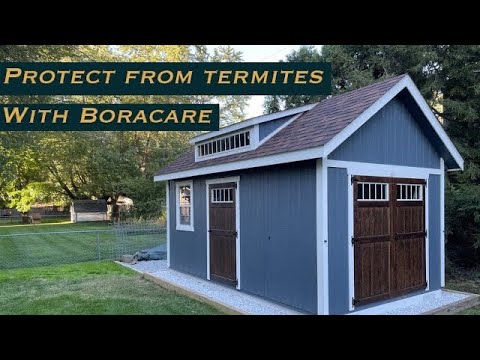 Protect your shed from termites!