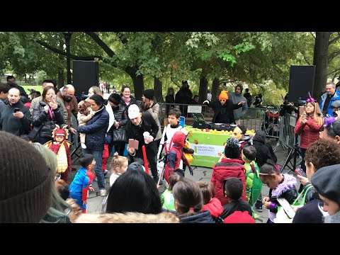 Halloween Pumpkin Flotilla