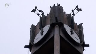 Птицегон предпазва от гълъби часовниковата кула в Хасково