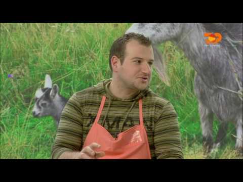 Ne Shtepine Tone, 9 Shkurt 2017, Pjesa 1 - Top Channel Albania - Entertainment Show