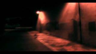 14days for life (Cicada's song) - T-cophony (Insomniac'z Work)