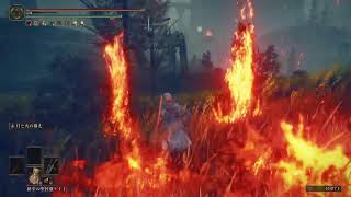 エルデンリング　DLC PS5 パート2