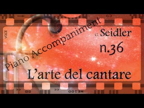 Seidler n.36 - Piano Accompaniment (Play - Along)