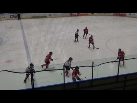 HC Panter 05/06 – HC Vipers/HC Kajakas 05/06  5-3 (2-1; 0-2; 3-0)  08.03.2017