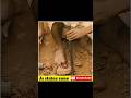 Manjhi The Mountain Man Attitude Attitudestatus Motivation Inspairation Motivationalquotes