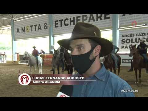 GRANDES CAMPEONATOS CBM DE MARCHA BATIDA (CAVALOS CASTRADOS)