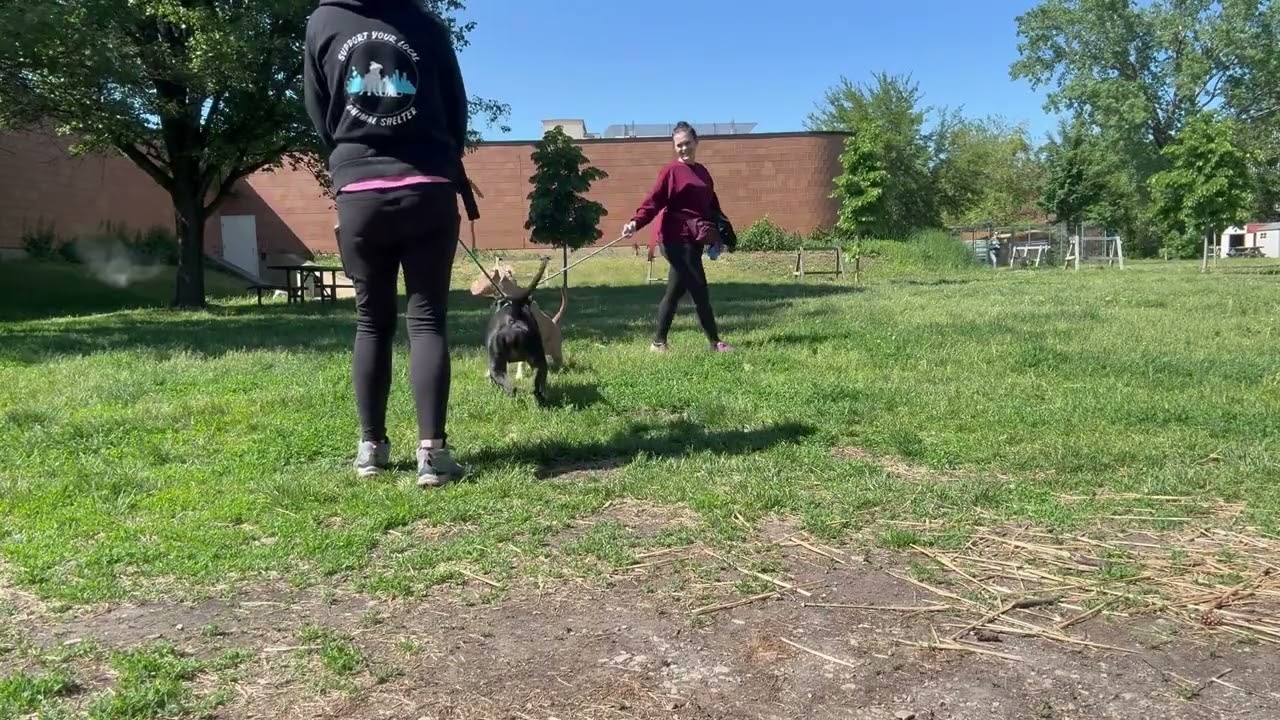 Video Thumbnail