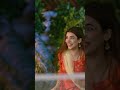 Wali Ka Piyar Badzaat Shorts