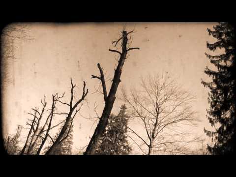 Windsor For The Derby - The Melody Of A Fallen Tree (fan video)