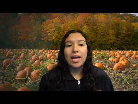 DNN Thursday, October 22nd, 2020