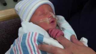 Tim Halperin - Dear Sophie - Lyric Video (Baby Pictures from Fans)