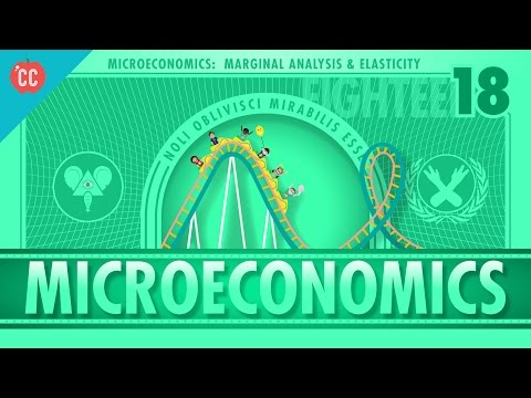 Marginal Analysis, Roller Coasters, Elasticity, and Van Gogh: Crash Course Economics #18