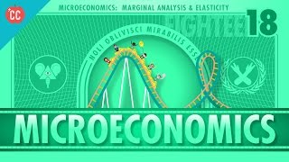 Marginal Analysis, Roller Coasters, Elasticity, and Van Gogh: Crash Course Economics #18