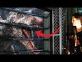 SOLVED Where Was The Spinosaurus During The Lost World Jurassic Park