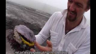 Waddy Jones au sommet de la Montagne de la Table à Cape Town