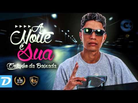 Mc Erikinho Da Baixada - A Noite é Sua ( Fz Produções ) Áudio Oficial Lançamento 2015