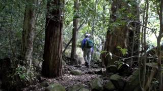 preview picture of video 'Hiking in the Blue Mountains'