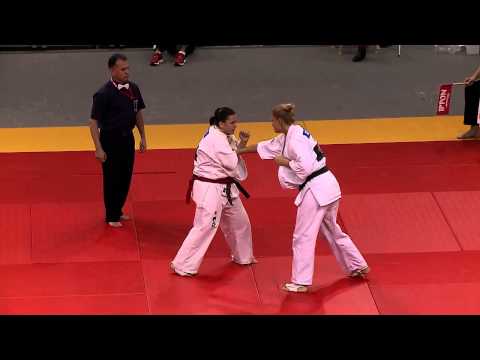 EC Shinkyokushin 2013 Oradea