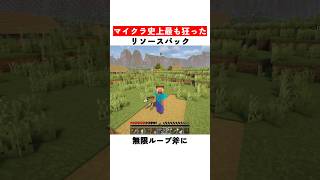 マイクラ史上最も狂ったリソースパック