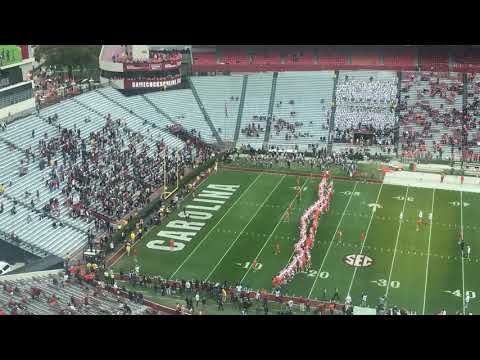 Watch South Carolina's students during Clemson's Walk of Champions