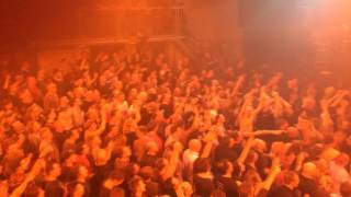 Levellers   15 Years