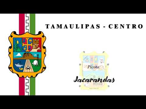 Jacarandas - Picota