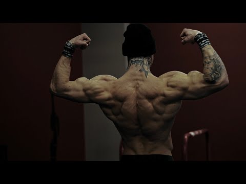 BACK & BETTER - Powerful Training Update