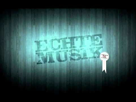 Shake 3x  Rene Rodrigezz vs  DJ Antoine feat  Mc Yankoo