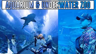 Dubai Aquarium & Underwater Zoo | UAE
