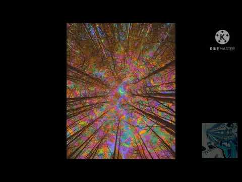 Transiest - Cronoboro