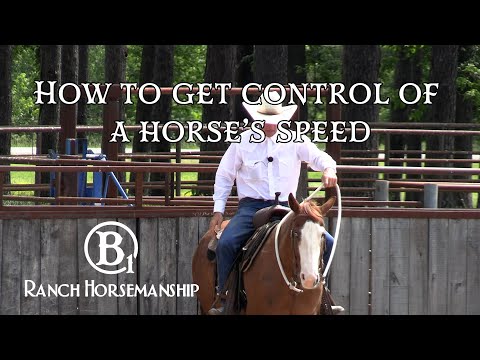 How To Get Control Of a Horse's Speed Preview
