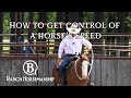 How To Get Control Of A Horse S Speed Preview