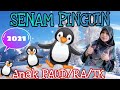 SENAM PINGUIN ANAK PAUD RA TK SenamanakPAUD