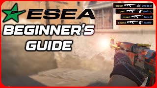 Everything You NEED To Know About the ESEA League...