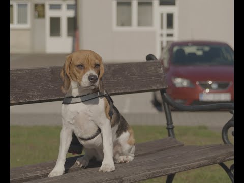 Media Stres - Subtle Art of Not Giving (Official video)