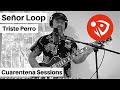 Señor Loop - Triste Perro (Cuarentena Sessions) #QuédateEnCasa #Conmigo