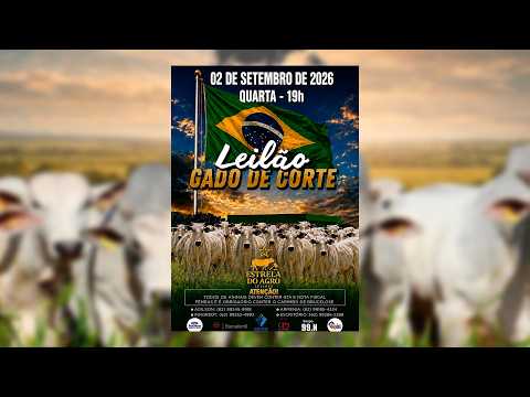 LEILÃO GADO DE CORTE ESTRELA DO AGRO LEILÕES  FAINA-GO 02/09/2026 | Leilão ao Vivo - Leilão de Gado