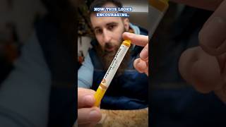 Do these Wood Burn Markers actually work? #shorts #diy