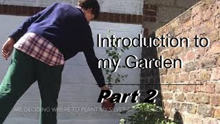 An Introduction to my Outdoor Garden Part 2 (The trees, bushes and flowers)
