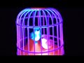 MINI Bird Cage unboxing|TOYs (ASMR)