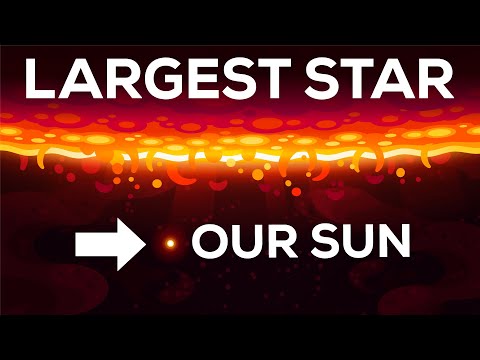 The True Size of Stars Compared to Different Planets