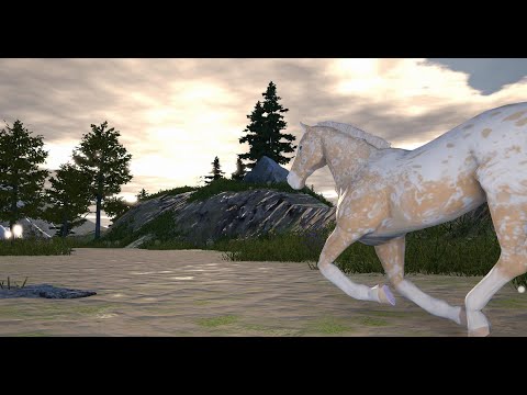 Horse Academy - Palomino Peacock Appy - Horse Academy April 7, 2023