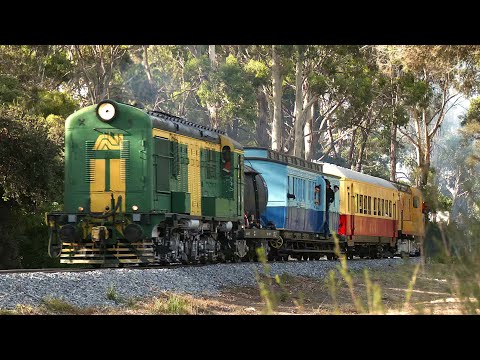 Don River Railway 50th, Feb 2025