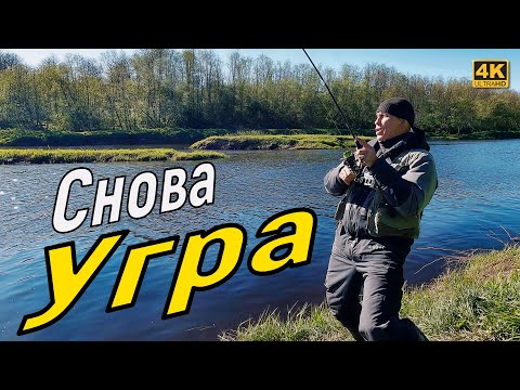 Опять на реку Угра. Это единственная живая речка в это время