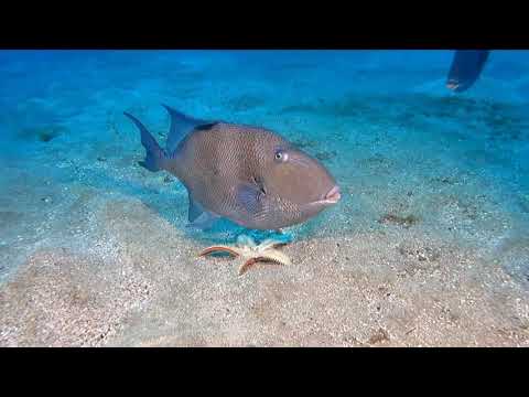 3rd Gui Costa e Paulo Correia Portugal
