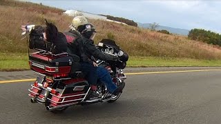 preview picture of video 'Motorcycle Ride on Skyline Drive Virginia 2014'