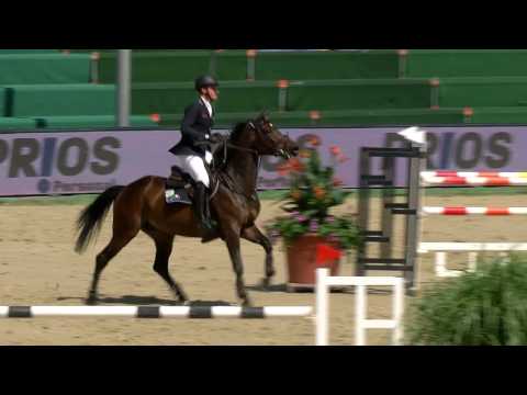 Fest der Pferde 2017 Prf04 32 086 Tobias Schwarz Caramello d'Oro