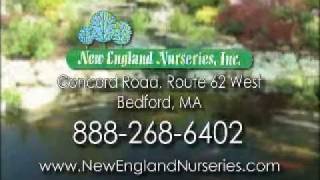 preview picture of video 'New England Nurseries Do It 07'